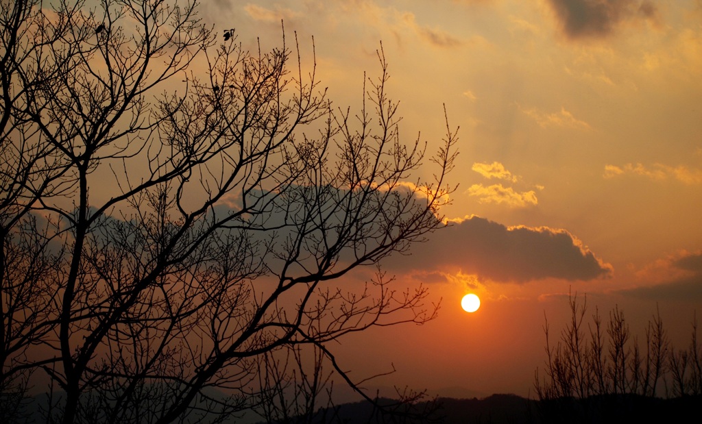 冬ざれ～夕日の彼方に