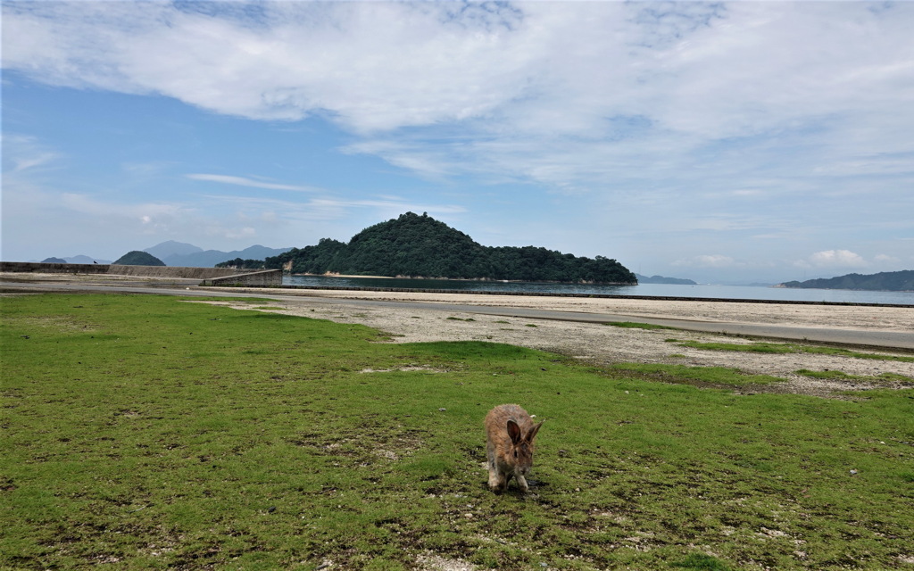 ウサギの楽園～大久野島