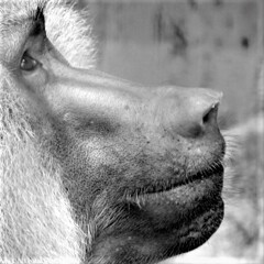 What can you see?　   2