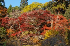 山がいちばん華やぐころ