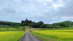 実りの秋へと～