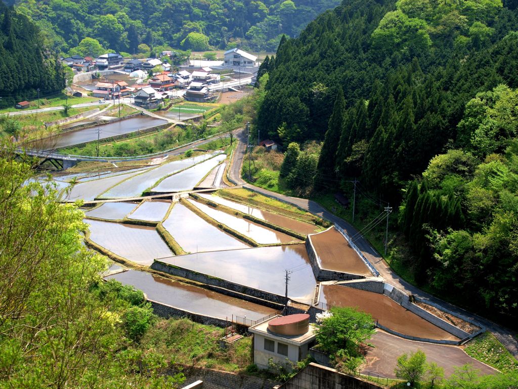 千屋ダムより～田植えは近い