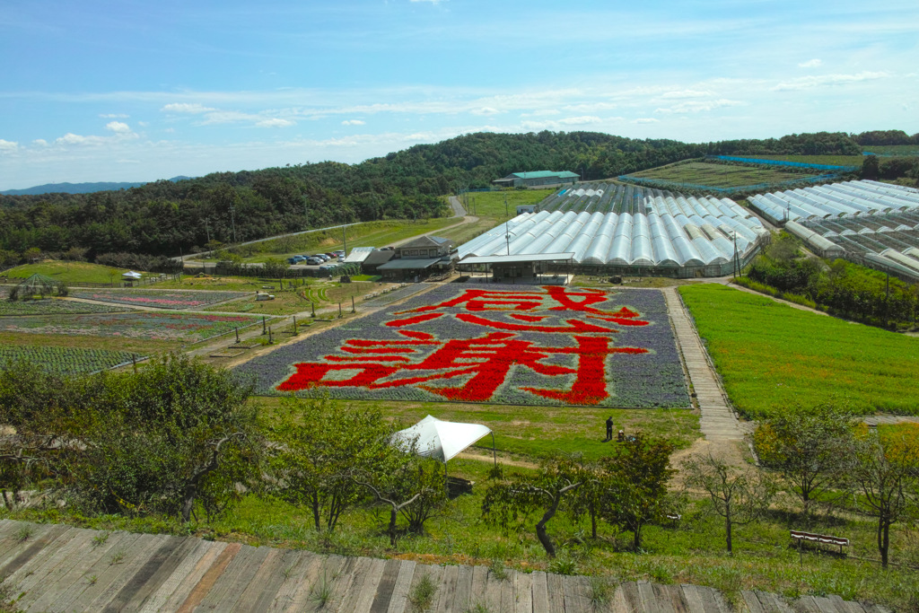 秋の世羅高原