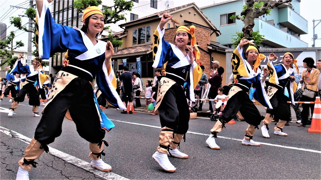 福山ばら祭り～