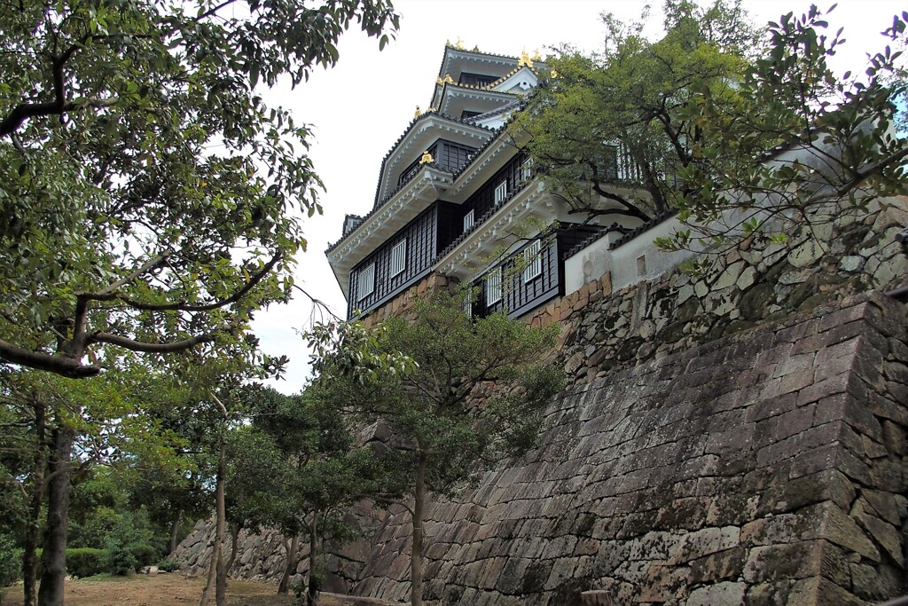 漆黒の城～岡山城（烏城）３