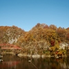 帝釈峡　神龍湖