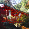 晩秋の御調八幡神社