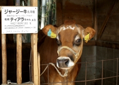 撮ってもいいけど餌ちょうだい～