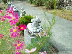 秋桜と地蔵さん