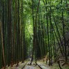  日本で一番美しい廃線跡らしい～倉吉線・竹林エリア　２
