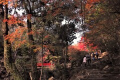 紅葉前線到来～三郎の滝　１
