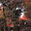 紅葉前線到来～三郎の滝　１