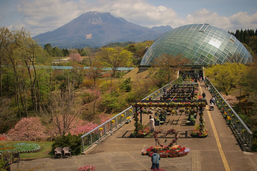 とっとり花回廊