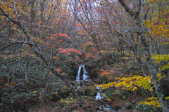 秋深まる～ひろしま県民の森