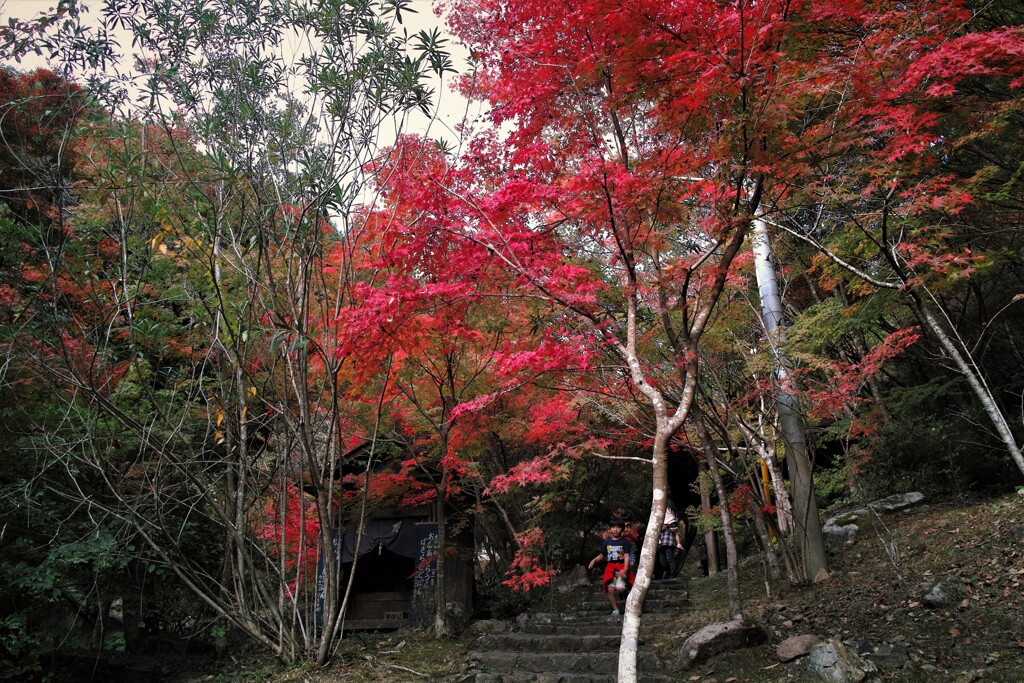 紅葉前線到来～三郎の滝　２