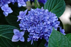 多彩に七変化　１
