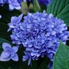 多彩に七変化　１