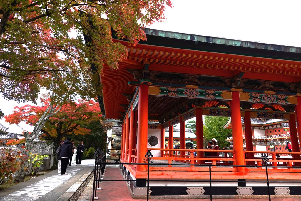 耕三寺の回廊と紅葉