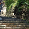 円福寺への石段～鞆の浦 
