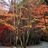 神勝寺の紅葉　１