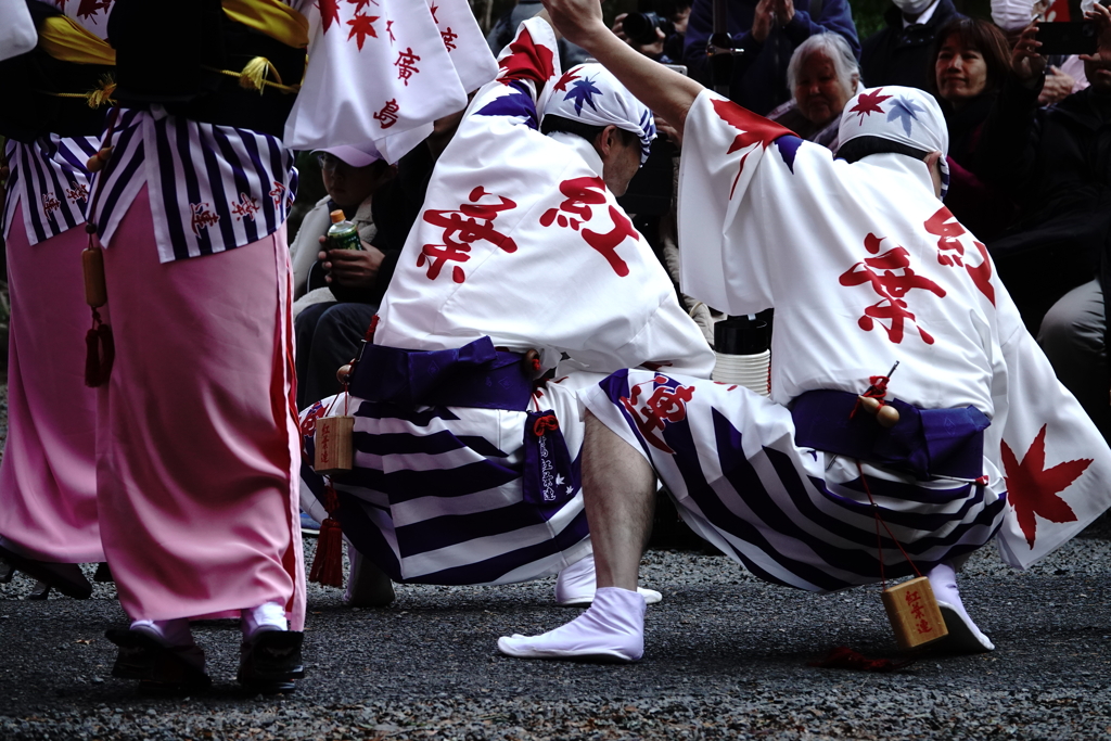 阿波踊りがやって来た～大田庄祭り　3