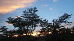 ６月の夕暮れ　３
