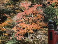 井原　天神峡