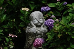地蔵さんと紫陽花