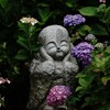 地蔵さんと紫陽花