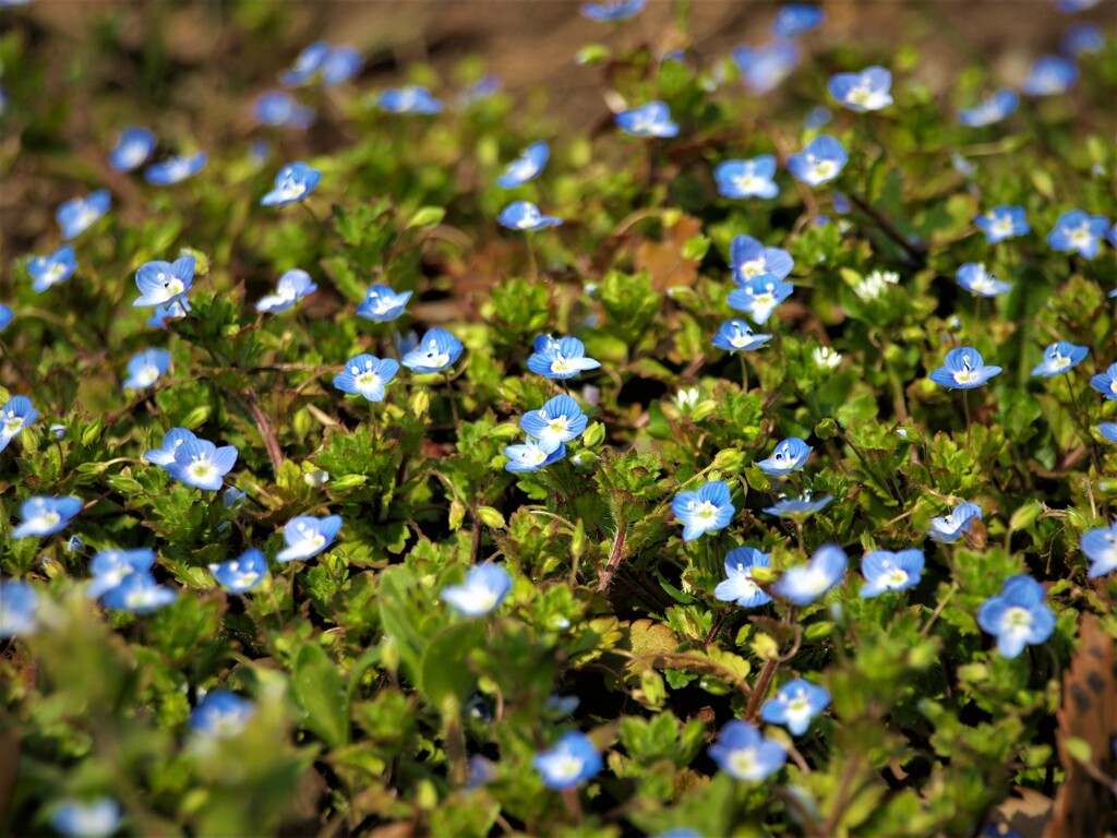 Spring is coming soon!