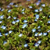 Spring is coming soon!