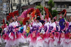 福山バラ祭り２０２４～ローズパレード　１
