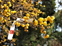 今年も健康で暮らせますように～