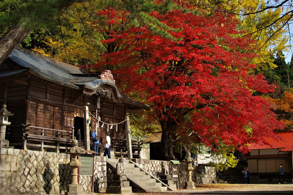 燃える紅葉～