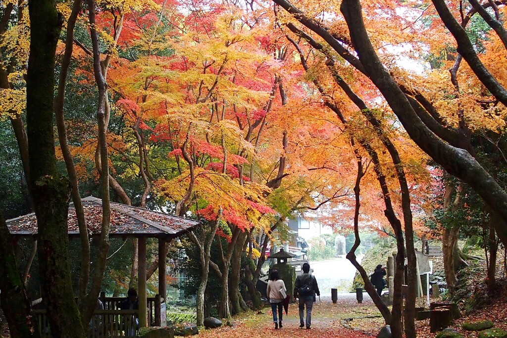 秋の風情～播州龍野公園