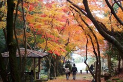 秋の風情～播州龍野公園