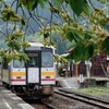 御衣黄桜の咲く駅～芸備線・矢神駅