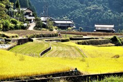 実りの秋～里山景色