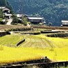 実りの秋～里山景色