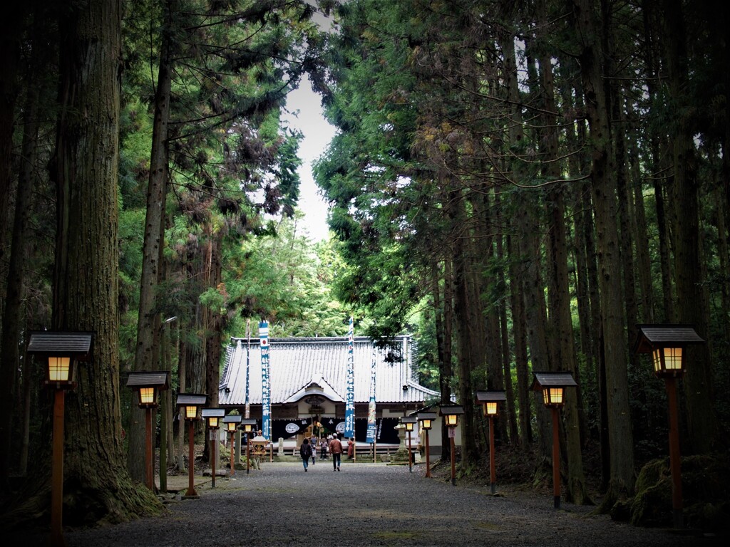 静かな祭り～