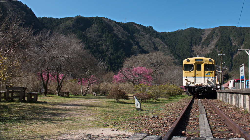 安野花の駅公園
