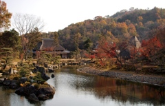 神勝寺の紅葉　２