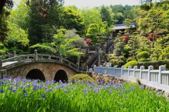 菅原神社～眼鏡橋と杜若　２