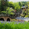菅原神社～眼鏡橋と杜若　２