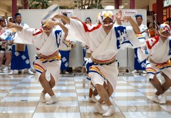 阿波踊り　娯茶平　２