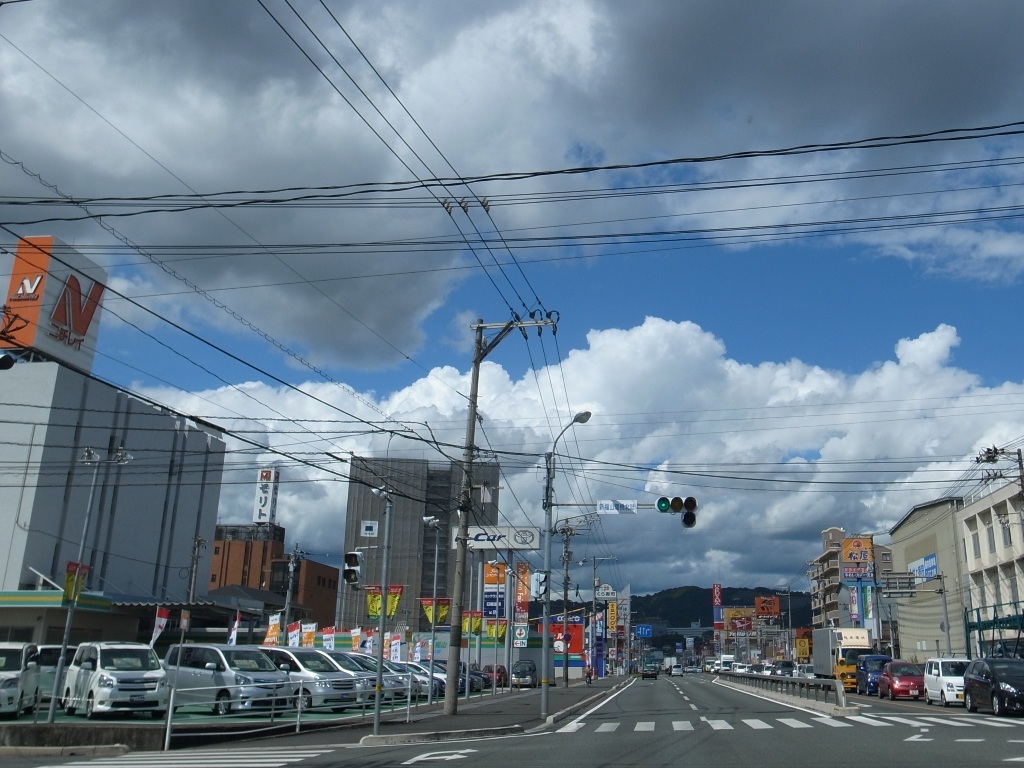 雲に乗りたい　柔らかな雲に！
