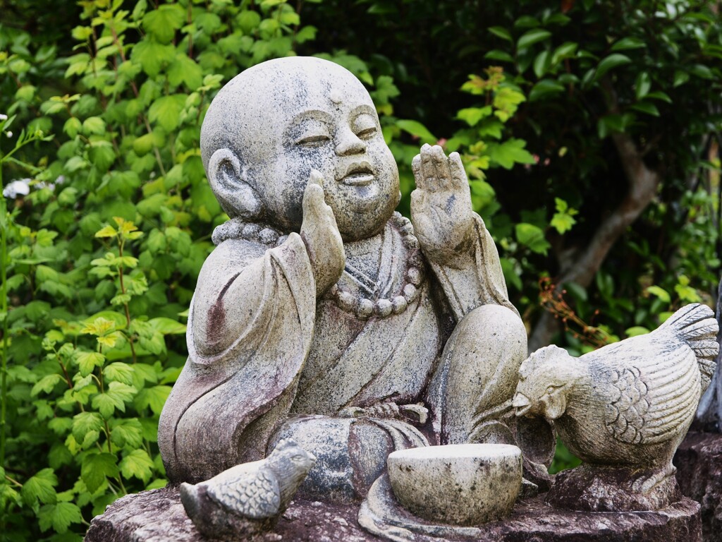 おいでよ～
