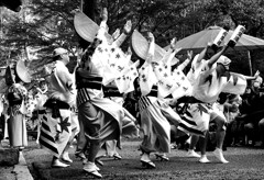 阿波踊りがやって来た～世羅の今高野山