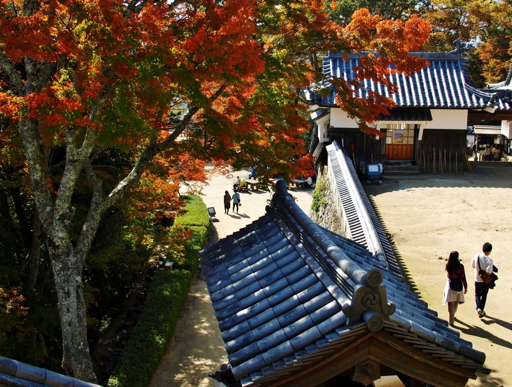 備中松山城の紅葉