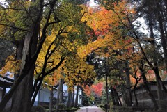 絲原記念館の紅葉